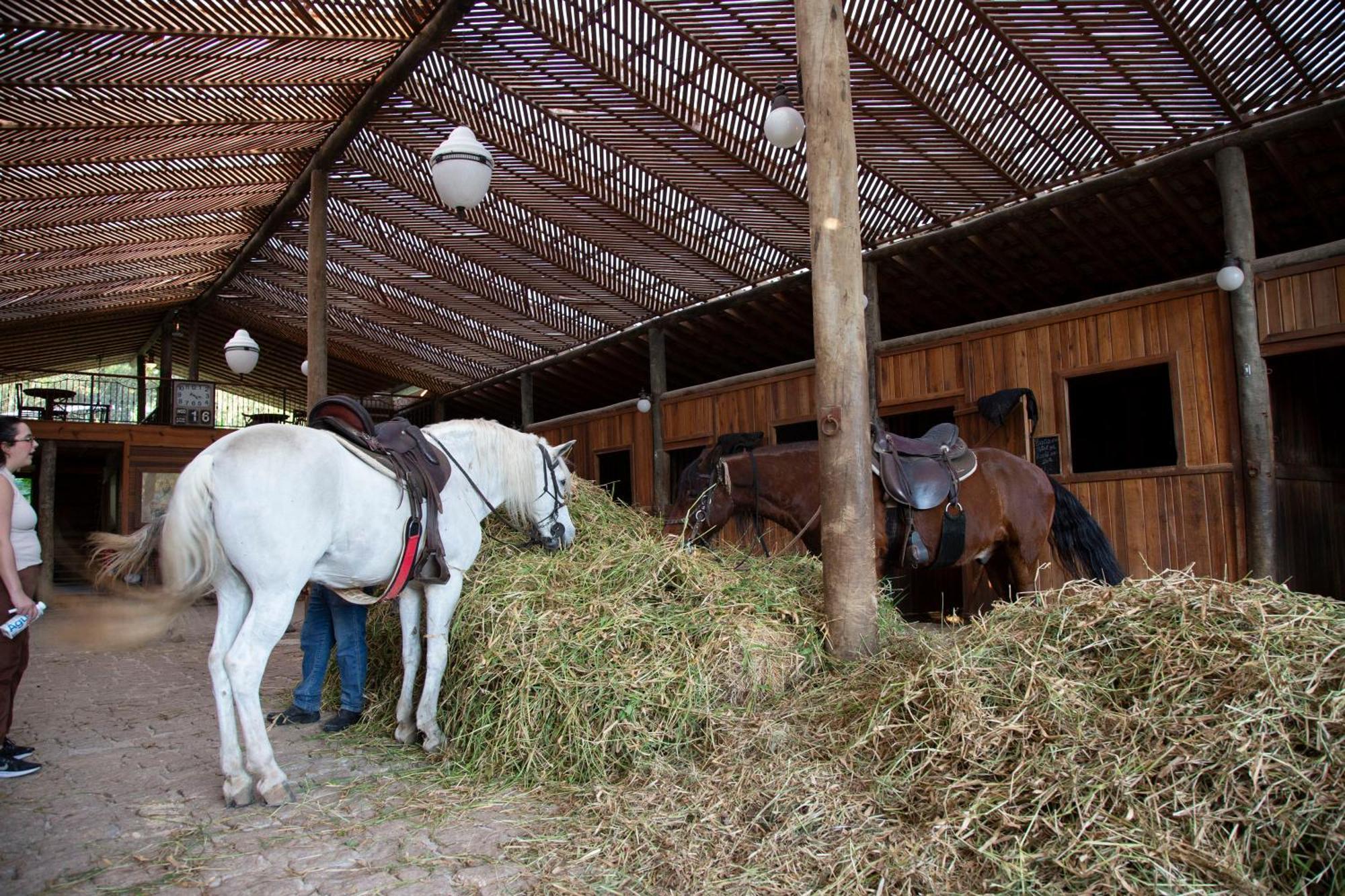 Fazenda Morros Verdes Hotel